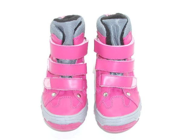 6743 fuxia 1.JPG