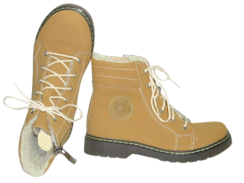 6003 camel 2.png