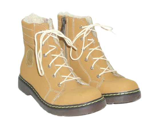 6003 camel 4.png