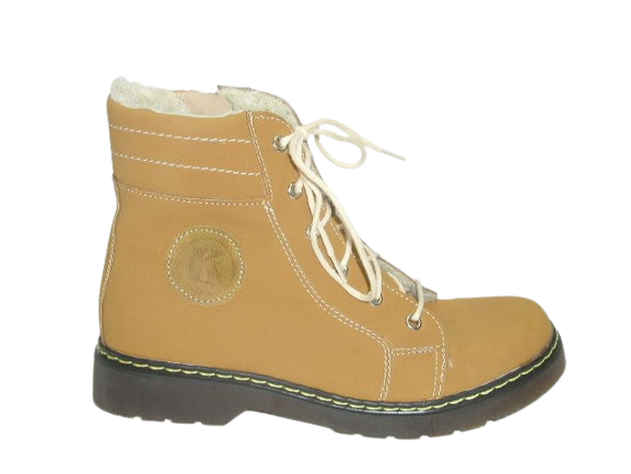 6003 camel 5.png