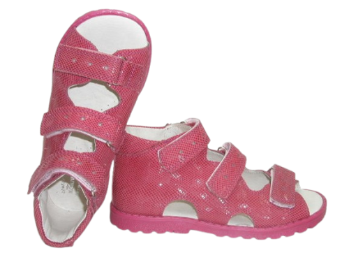 OR 102 fuxia wel. 2.png