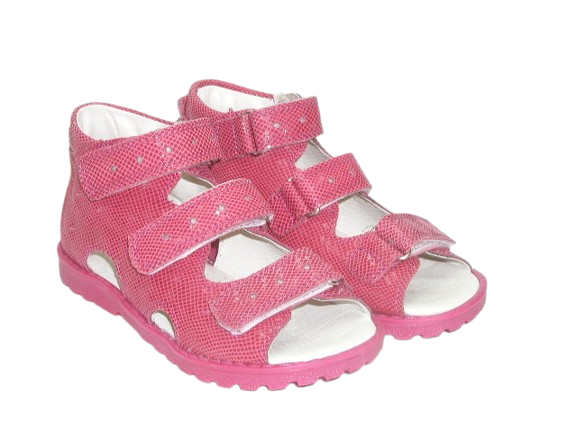 OR 102 fuxia wel. 4.png