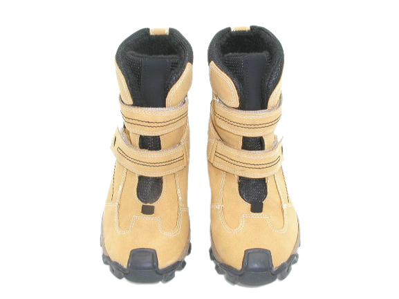6397 camel 1 .png
