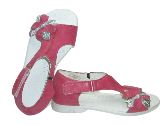 4527 fuxia 2.png