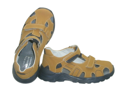 6712 camel 2.png