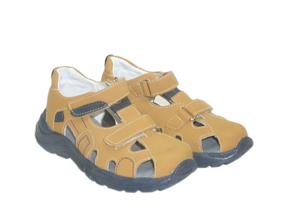 6712 camel 4.png