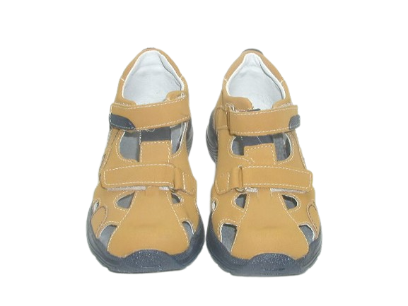 6712 camel 1.png