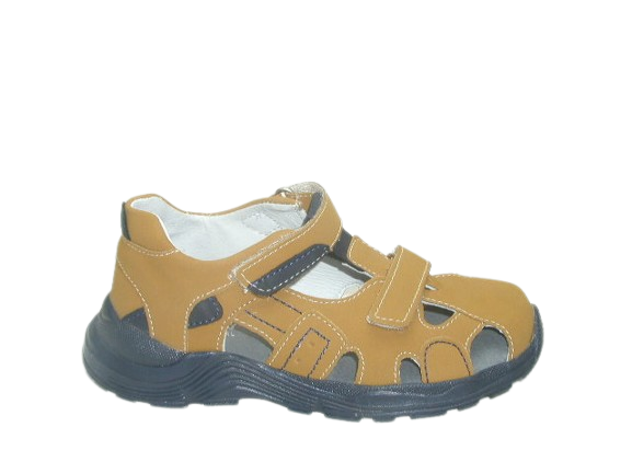 6712 camel 5.png