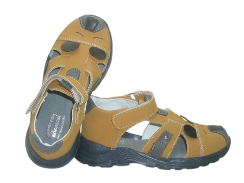 6711 camel 2.png