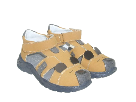 6711 camel 4.png