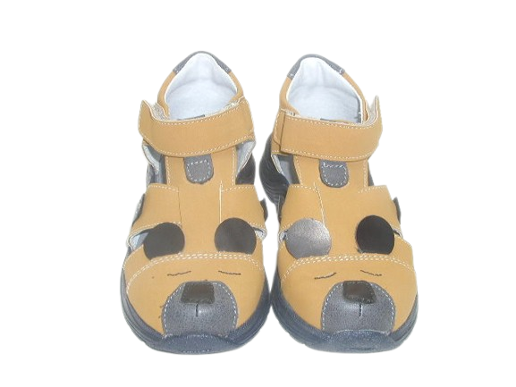 6711 camel 1.png