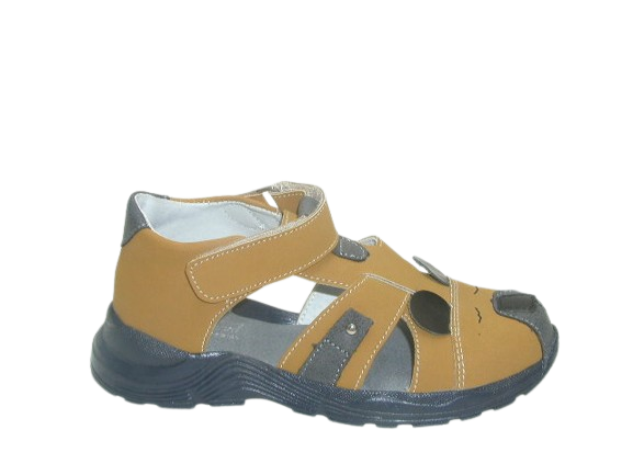 6711 camel 5.png