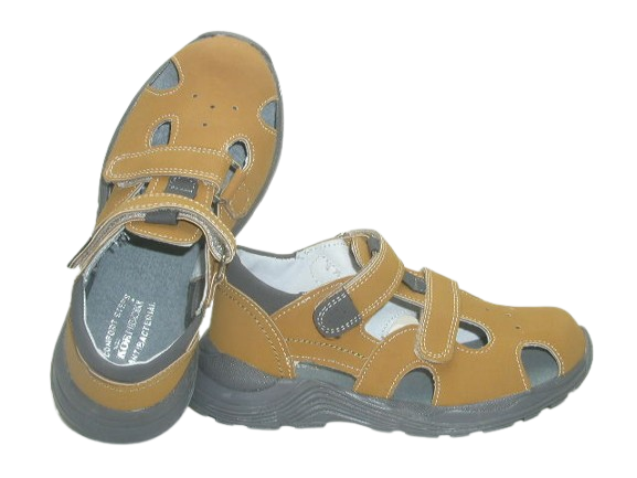6709 camel 2.png