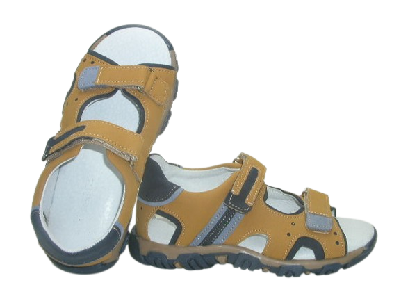 6188 camel 2.png