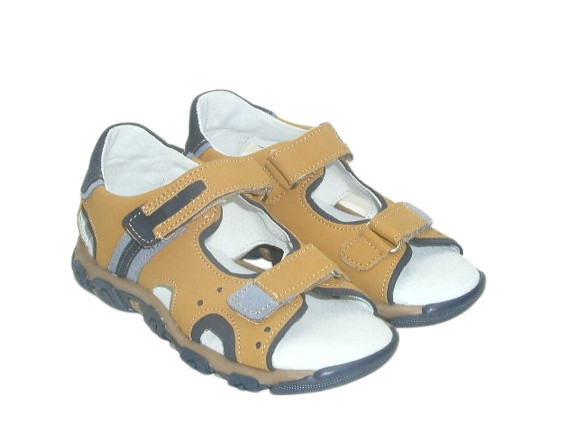 6188 camel 4.png
