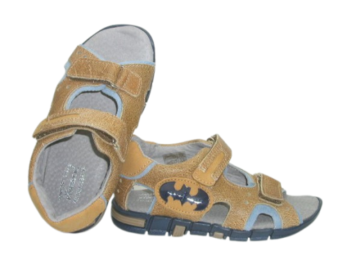 6964 camel sk. 2.png