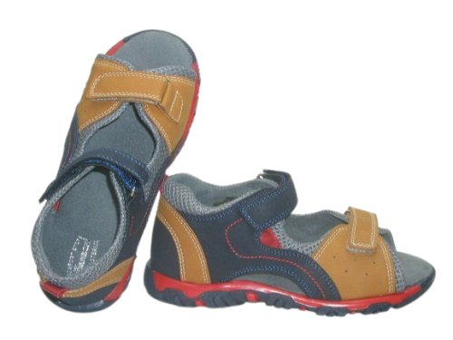 6708 camel 2 (2).png