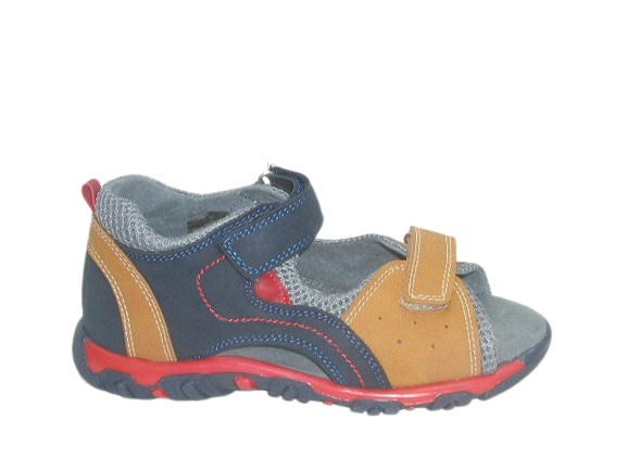 6708 camel 5 (2).png