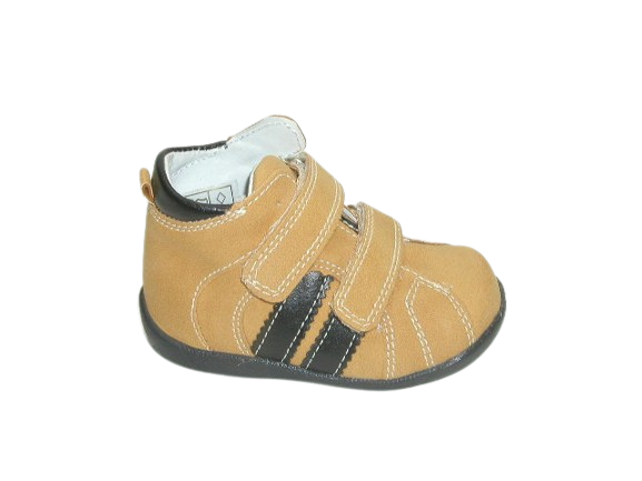 6450 camel 5.png