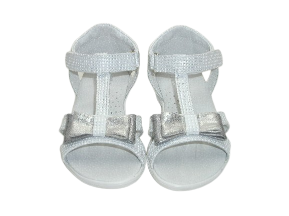 4522 biały sreb. 1.png