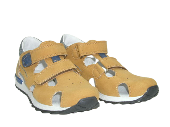 6184 camel 4.png