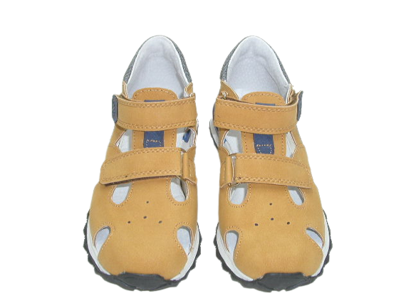 6184 camel 1.png