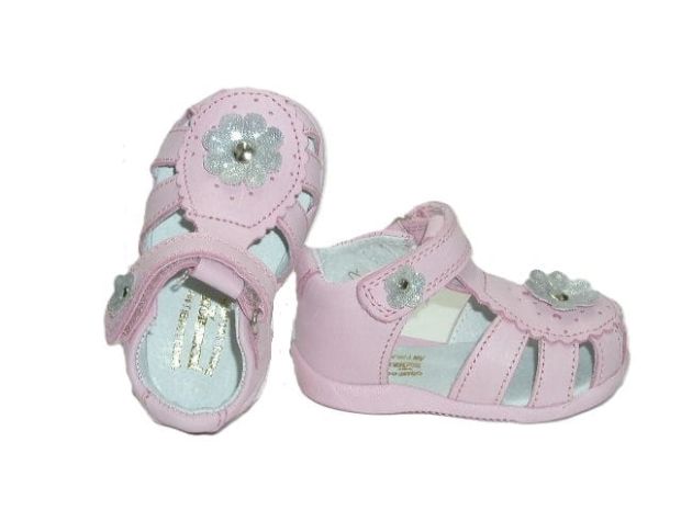 5442 róż sk. 2.JPG