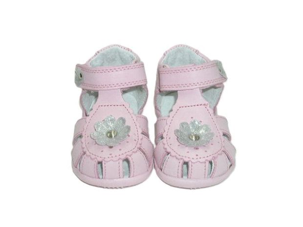 5442 róż sk. 1.JPG