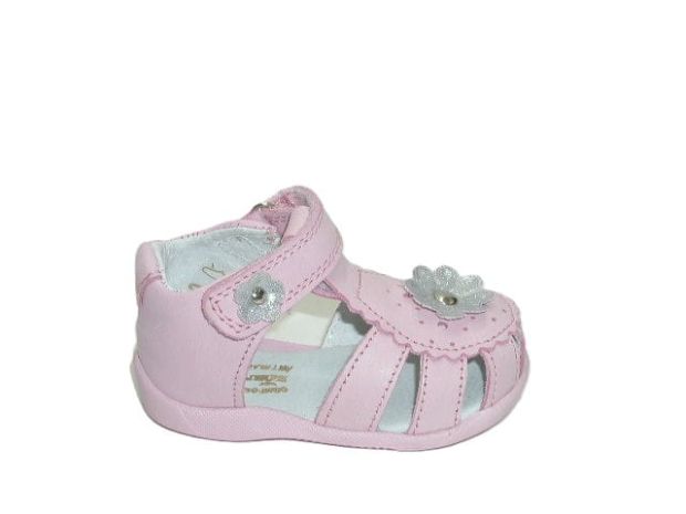 5442 róż sk. 5.JPG