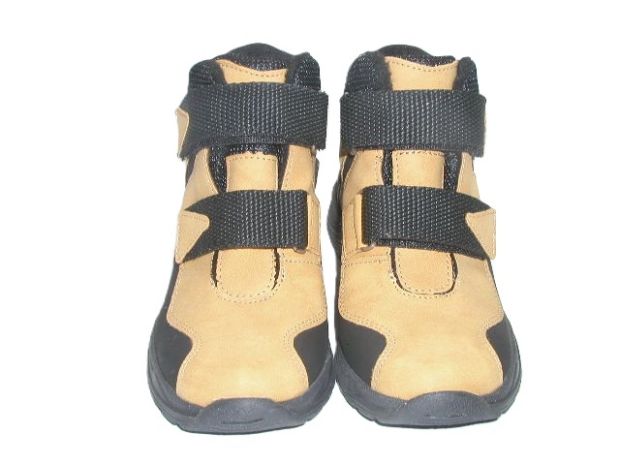6975 camel 1.JPG