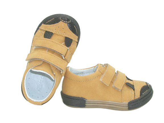 6485 camel 2 .png