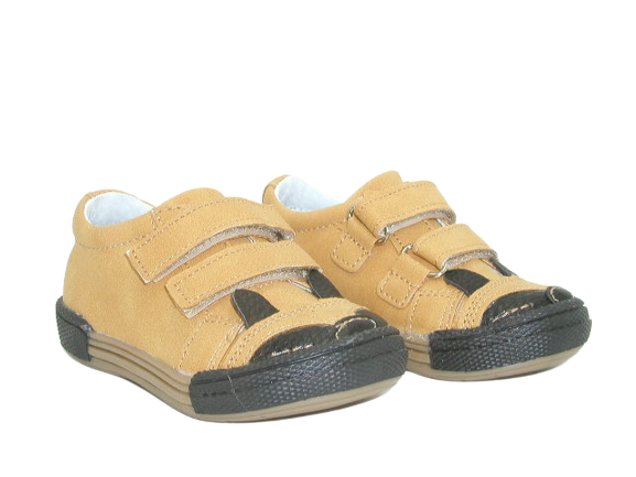 6485 camel 4 .png