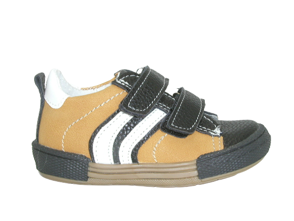 6795 camel 5 .png