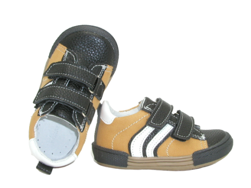 6795 camel 2 .png