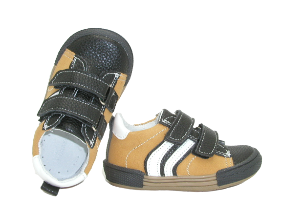 6795 camel 2 .png