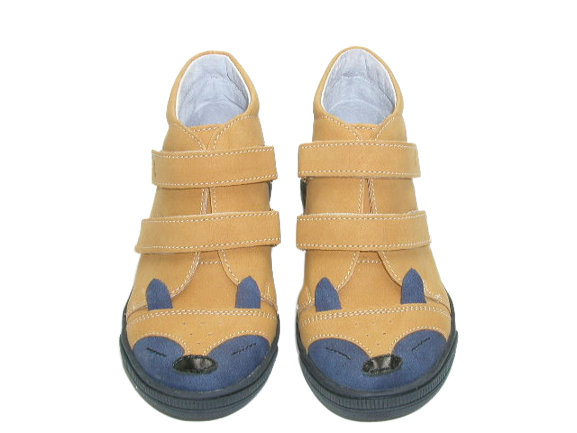 6517 camel 1 .png