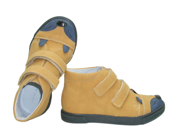 6517 camel 2 .png