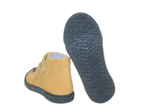6517 camel 3 .png
