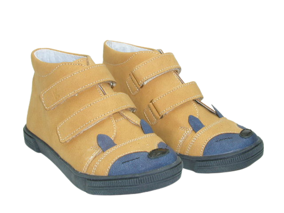 6517 camel 4 .png