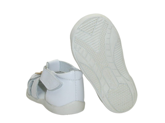 P1010129-removebg-preview (1).png