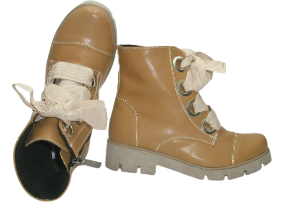 6220 camel 2.png