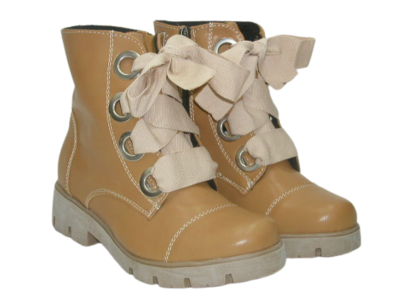 6220 camel 4.png