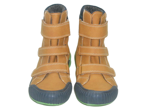 6733 camel 1.png