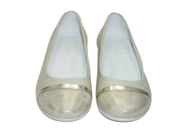 4434 pieczarka 1.png