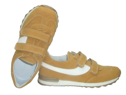 6122 camel 2.png