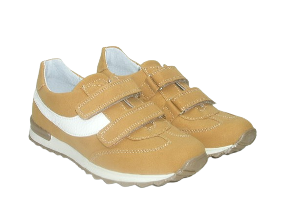 6122 camel 4.png