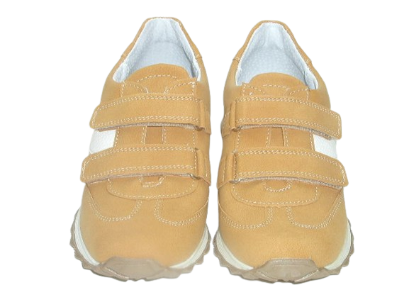 6122 camel 1.png