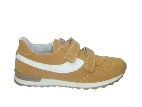 6122 camel 5.png