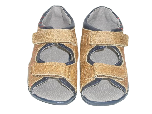 6965 camel sk. 1.png