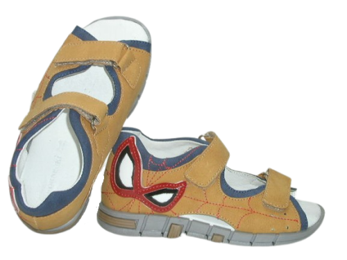 6965 camel 2 (2).png